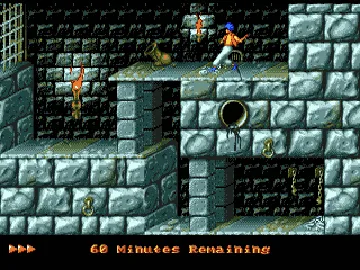 Prince of Persia (Europe) (Beta) (Earlier) screen shot game playing